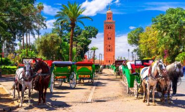 Horses standing in Jemaa el-Fna square, Marrakech, Morocco