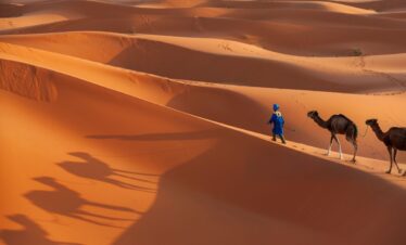 Golden sand dunes in Zagora, Morocco under clear desert skies